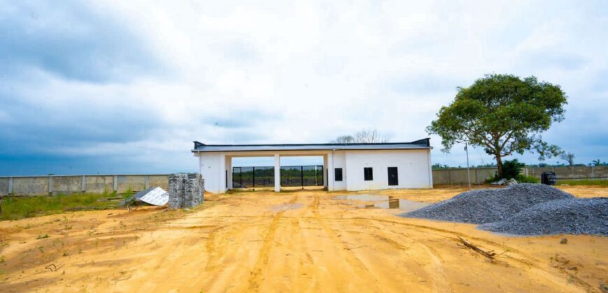 VALENTINE’S SPECIAL PRICE DROP