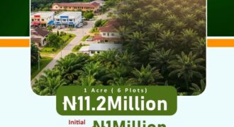 🌴 PALMRICH ESTATE PHASE 7️⃣Ado Odo, Ota, Ogun State