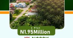 🌴 PALMRICH ESTATE PHASE 7️⃣Ado Odo, Ota, Ogun State