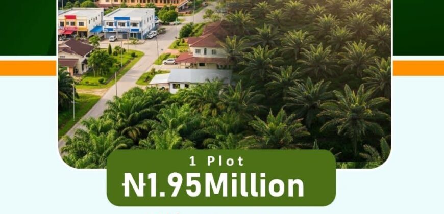 🌴 PALMRICH ESTATE PHASE 7️⃣Ado Odo, Ota, Ogun State