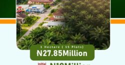 🌴 PALMRICH ESTATE PHASE 7️⃣Ado Odo, Ota, Ogun State