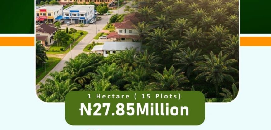 🌴 PALMRICH ESTATE PHASE 7️⃣Ado Odo, Ota, Ogun State